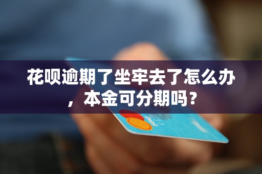 花呗逾期了坐牢去了怎么办，本金可分期吗？