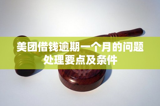 美团借钱逾期一个月的问题处理要点及条件