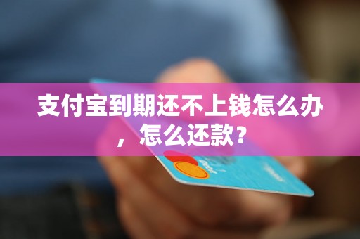 支付宝到期还不上钱怎么办，怎么还款？