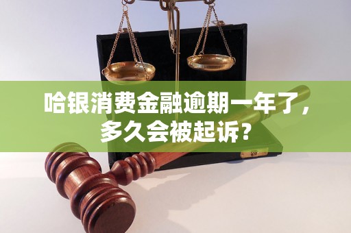 哈银消费金融逾期一年了，多久会被起诉？