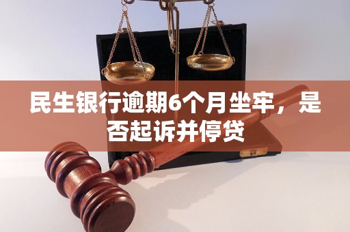 民生银行逾期6个月坐牢，是否起诉并停贷