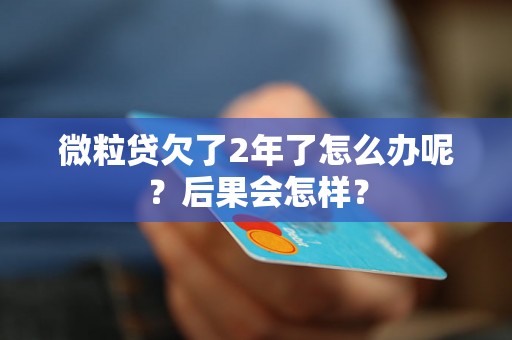 微粒贷欠了2年了怎么办呢？后果会怎样？