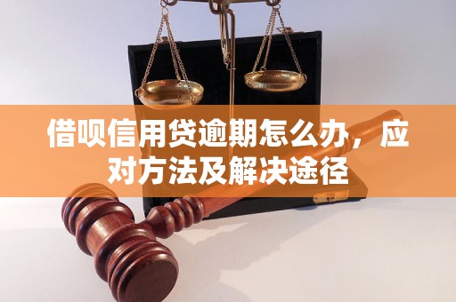 借呗信用贷逾期怎么办，应对方法及解决途径