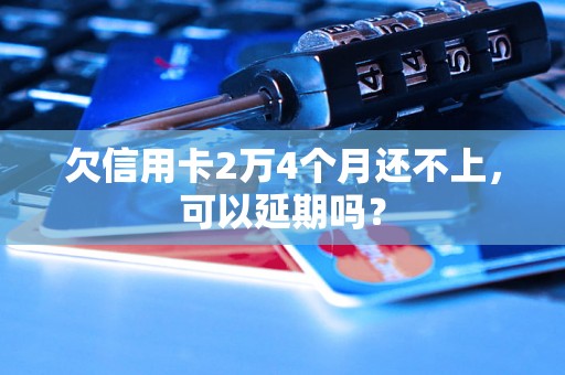 欠信用卡2万4个月还不上，可以延期吗？