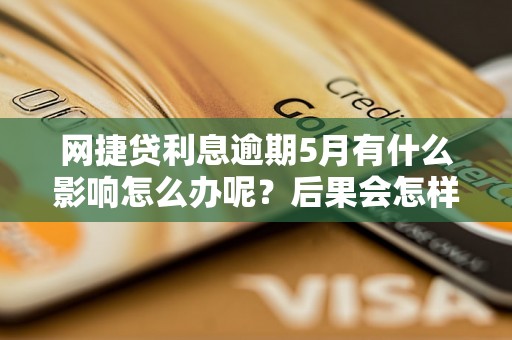 网捷贷利息逾期5月有什么影响怎么办呢？后果会怎样？