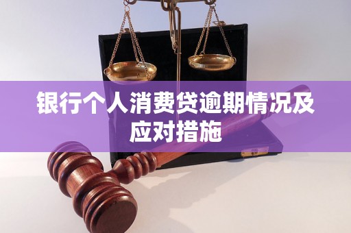 银行个人消费贷逾期情况及应对措施