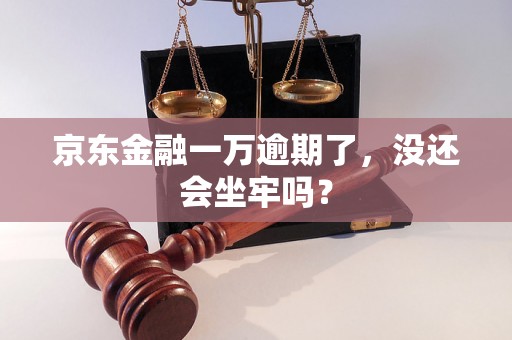 京东金融一万逾期了，没还会坐牢吗？