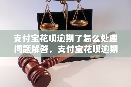 支付宝花呗逾期了怎么处理问题解答，支付宝花呗逾期了怎么处理如何处理