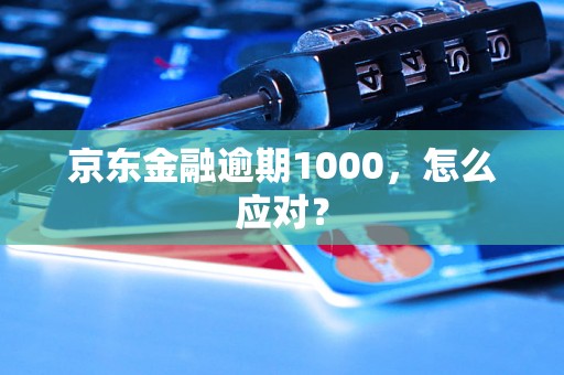 京东金融逾期1000，怎么应对？