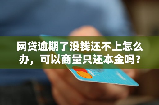 网贷逾期了没钱还不上怎么办，可以商量只还本金吗？