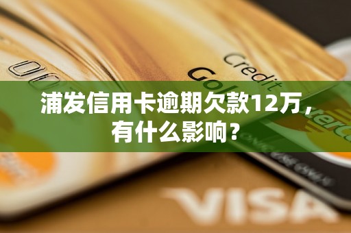 浦发信用卡逾期欠款12万，有什么影响？