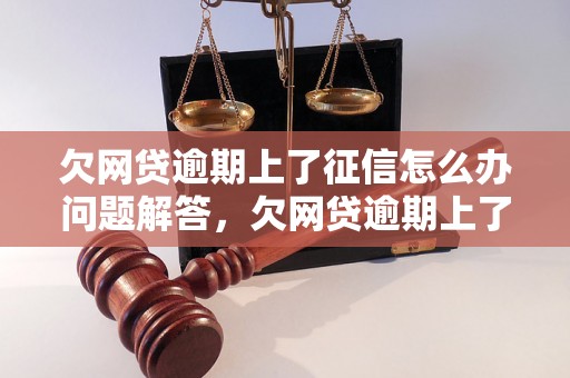 欠网贷逾期上了征信怎么办问题解答，欠网贷逾期上了征信怎么办如何处理