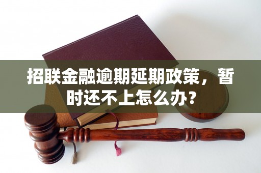 招联金融逾期延期政策，暂时还不上怎么办？