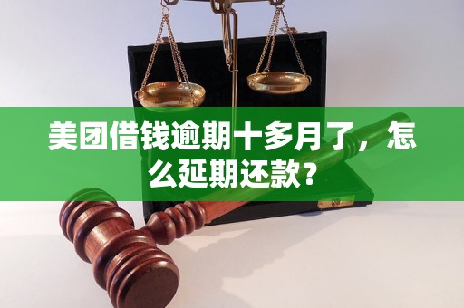 美团借钱逾期十多月了，怎么延期还款？