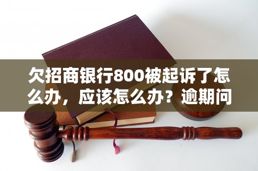 欠招商银行800被起诉了怎么办，应该怎么办？逾期问题解决办法