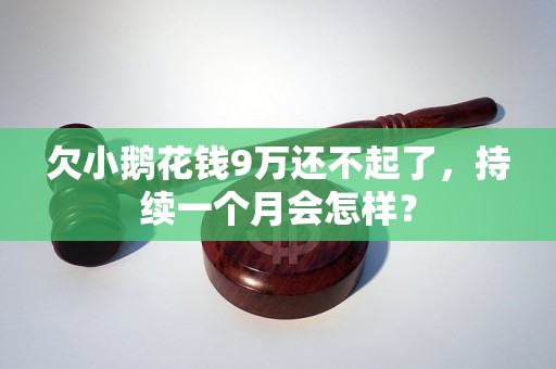 欠小鹅花钱9万还不起了，持续一个月会怎样？