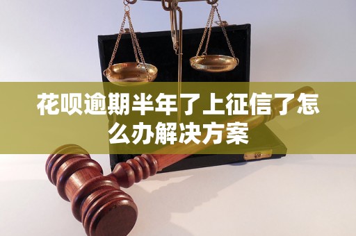 花呗逾期半年了上征信了怎么办解决方案