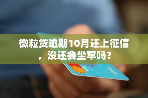 微粒贷逾期10月还上征信，没还会坐牢吗？