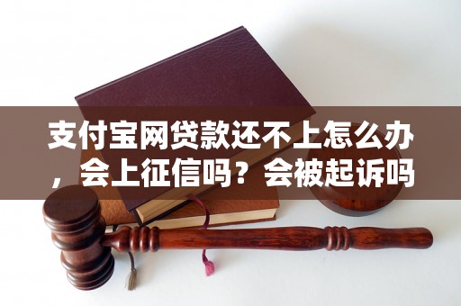 支付宝网贷款还不上怎么办，会上征信吗？会被起诉吗？