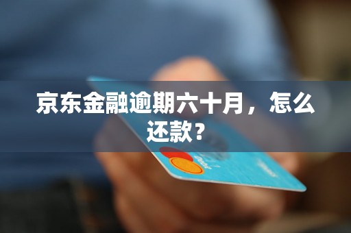 京东金融逾期六十月，怎么还款？