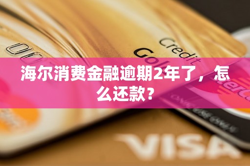 海尔消费金融逾期2年了，怎么还款？