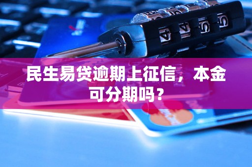 民生易贷逾期上征信，本金可分期吗？