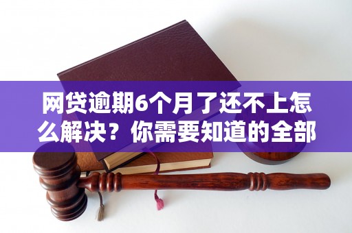 网贷逾期6个月了还不上怎么解决？你需要知道的全部解决方法