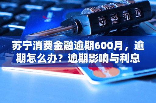 苏宁消费金融逾期600月，逾期怎么办？逾期影响与利息了解！