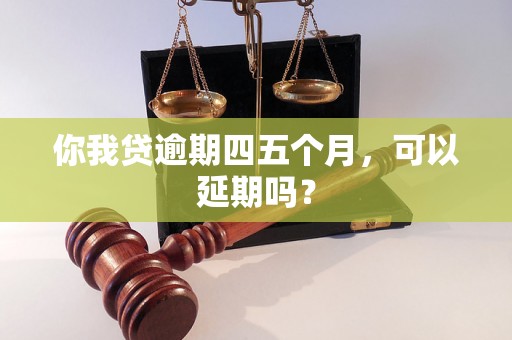 你我贷逾期四五个月，可以延期吗？