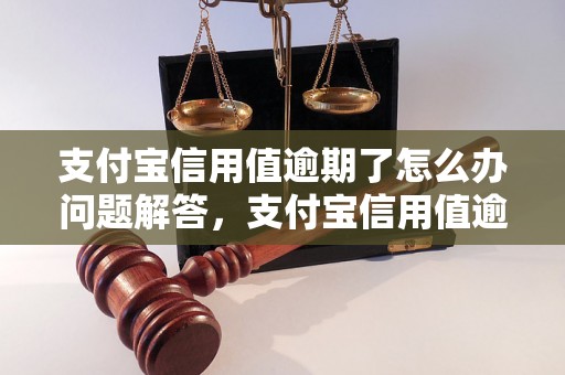 支付宝信用值逾期了怎么办问题解答，支付宝信用值逾期了怎么办如何处理