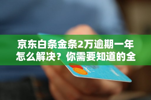 京东白条金条2万逾期一年怎么解决？你需要知道的全部解决方法