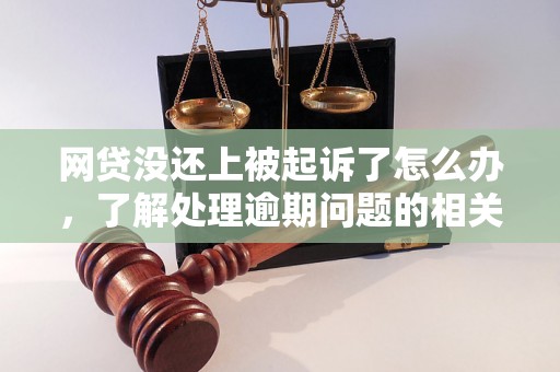 网贷没还上被起诉了怎么办，了解处理逾期问题的相关流程和方法