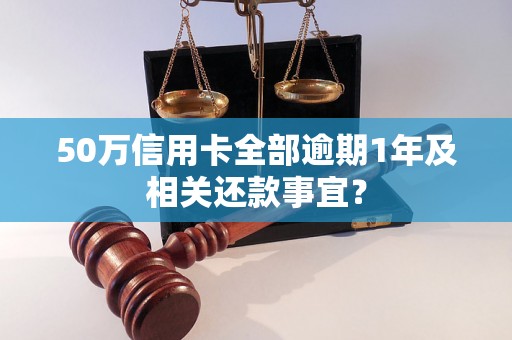 50万信用卡全部逾期1年及相关还款事宜？