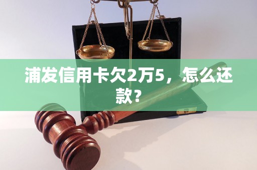 浦发信用卡欠2万5，怎么还款？