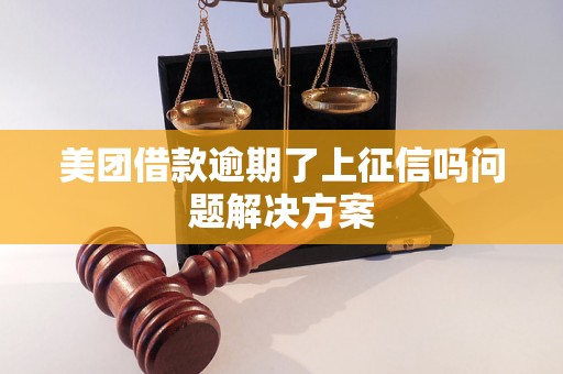 美团借款逾期了上征信吗问题解决方案