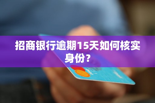 招商银行逾期15天如何核实身份？