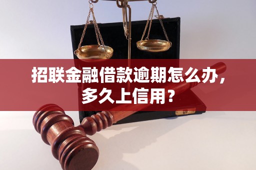 招联金融借款逾期怎么办，多久上信用？