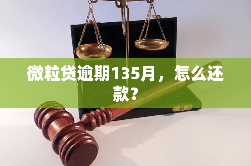 微粒贷逾期135月，怎么还款？