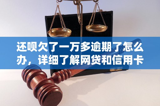 还呗欠了一万多逾期了怎么办，详细了解网贷和信用卡逾期法律后果