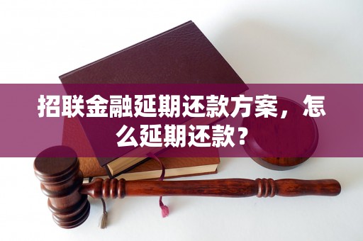 招联金融延期还款方案，怎么延期还款？