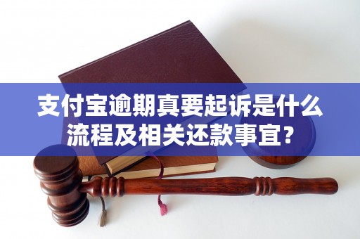 支付宝逾期真要起诉是什么流程及相关还款事宜？