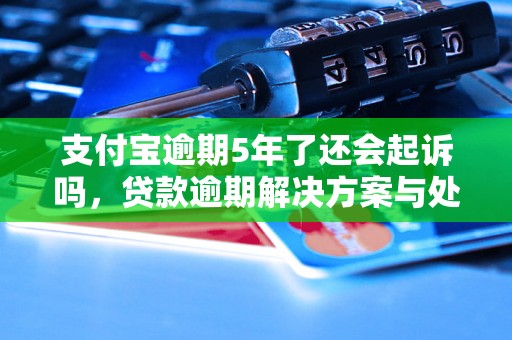 支付宝逾期5年了还会起诉吗，贷款逾期解决方案与处理策略