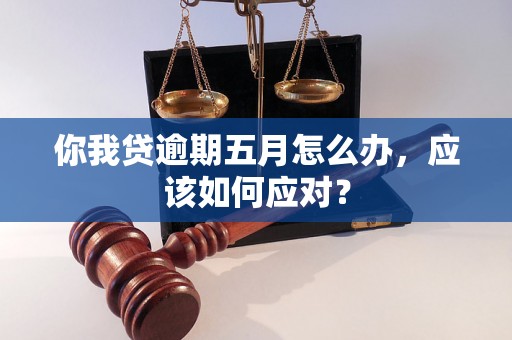 你我贷逾期五月怎么办，应该如何应对？