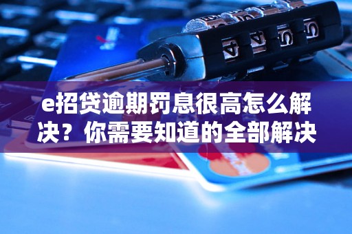 e招贷逾期罚息很高怎么解决？你需要知道的全部解决方法