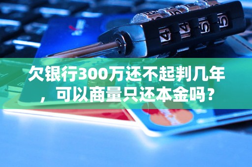 欠银行300万还不起判几年，可以商量只还本金吗？