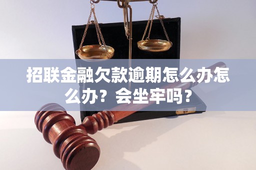 招联金融欠款逾期怎么办怎么办？会坐牢吗？