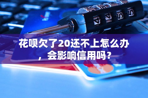 花呗欠了20还不上怎么办，会影响信用吗？