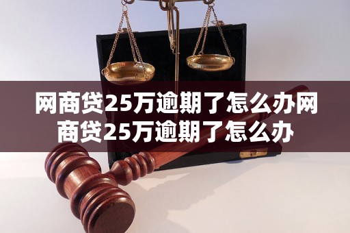 网商贷25万逾期了怎么办网商贷25万逾期了怎么办