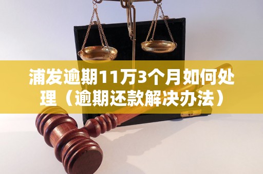 浦发逾期11万3个月如何处理（逾期还款解决办法）