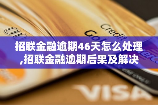 招联金融逾期46天怎么处理,招联金融逾期后果及解决办法